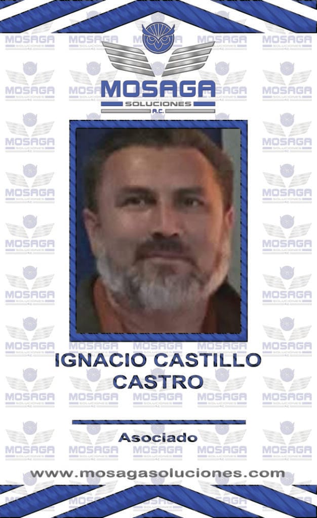 IGNACIO CASTILLO CASTRO ASOCIADO